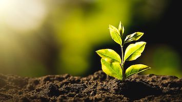 Produits éco-responsables respectueux de la santé et environnement